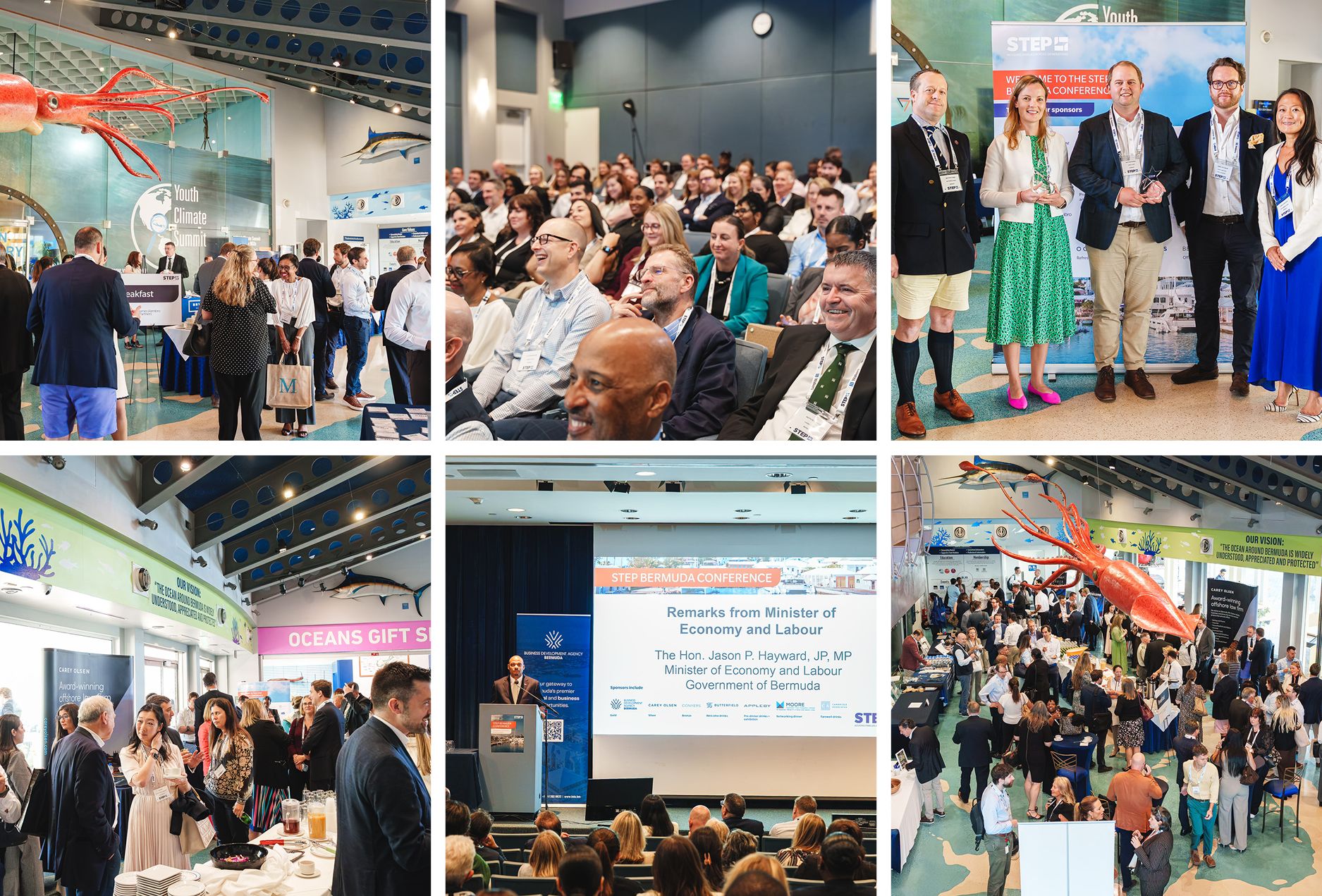 Series of photos from the event